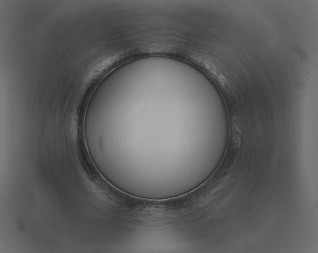 X0000116570631200912241635