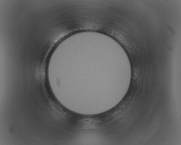 X0000116570632200912241635