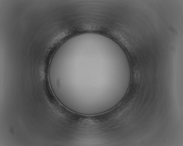 X0000116570635200912241635