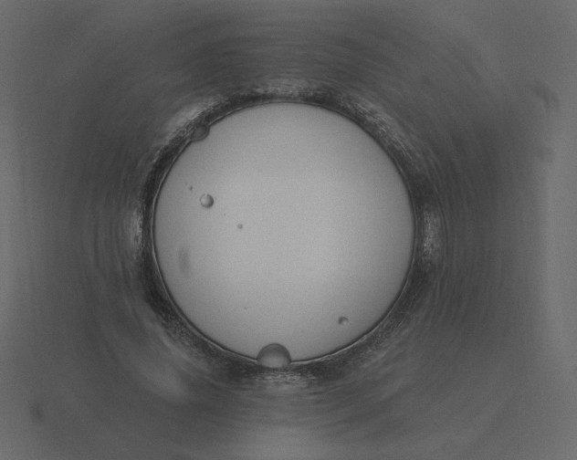 X0000116570636200912241635