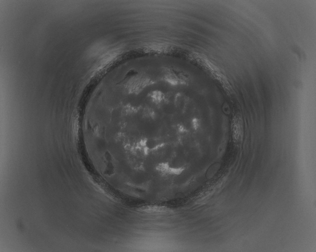 X0000116570637200912241635