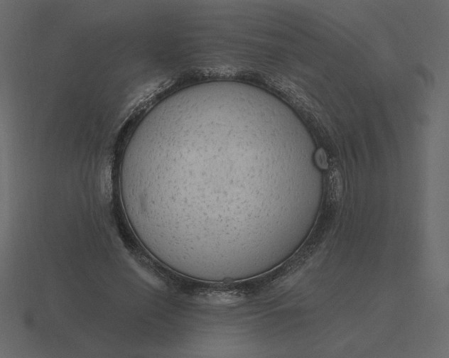 X0000116570638200912241635