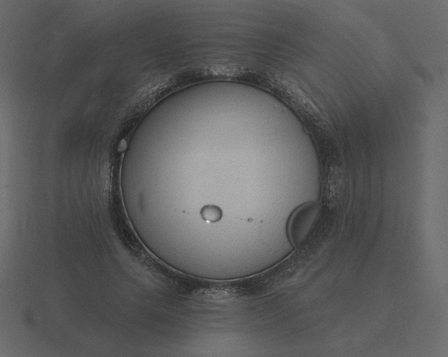 X0000116570639200912241635