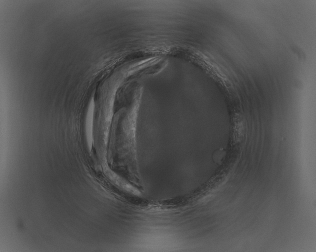 X0000116570641200912241635