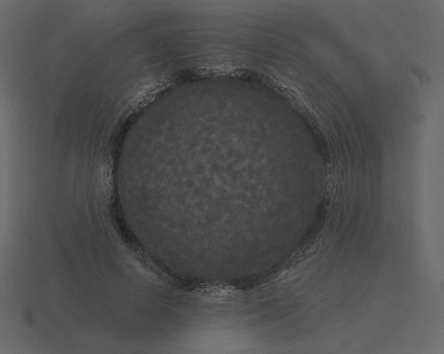 X0000116570642200912241635