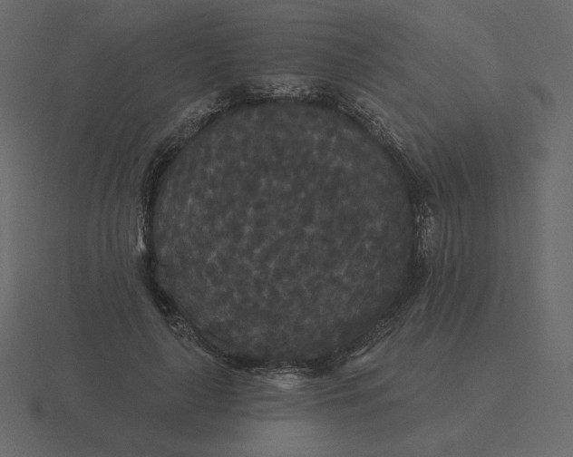 X0000116570643200912241635