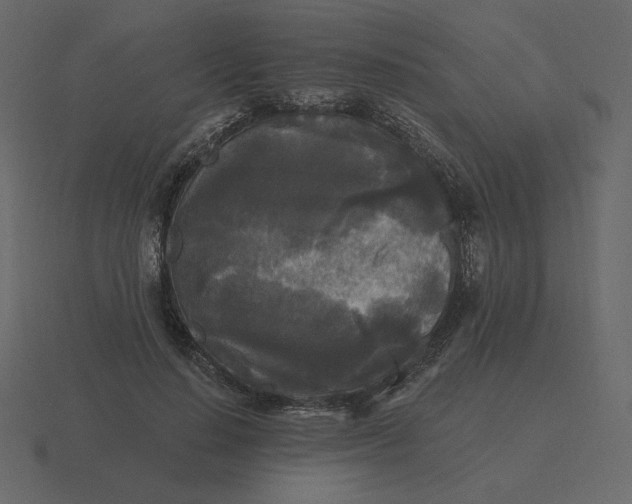 X0000116570644200912241635