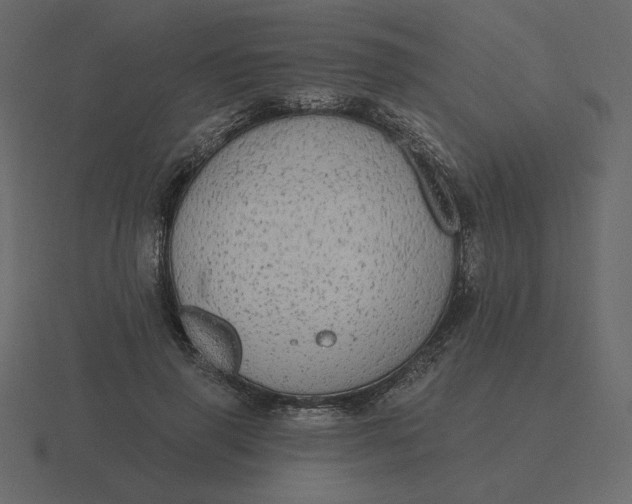 X0000116570645200912241635