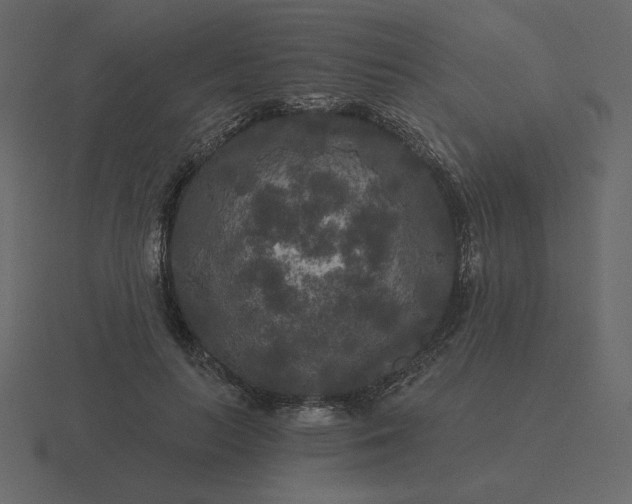 X0000116570647200912241635