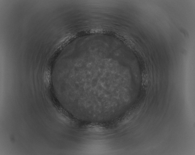 X0000116570648200912241635