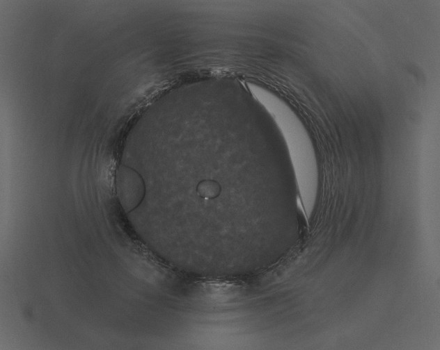 X0000116570650200912241635