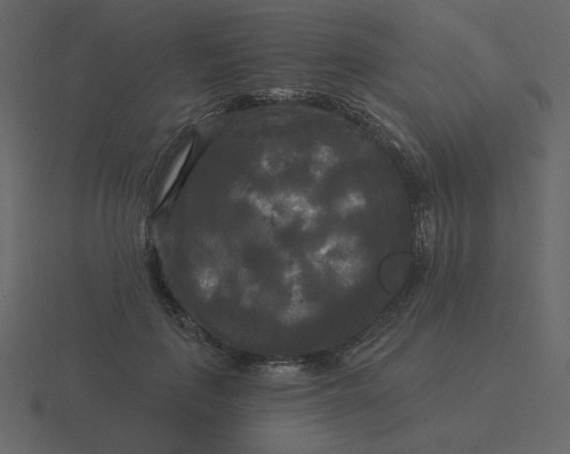 X0000116570651200912241635