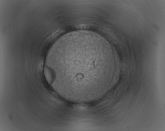 X0000116570652200912241635