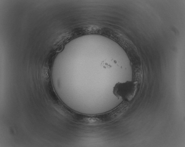 X0000116570654200912241635