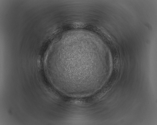 X0000116570655200912241635