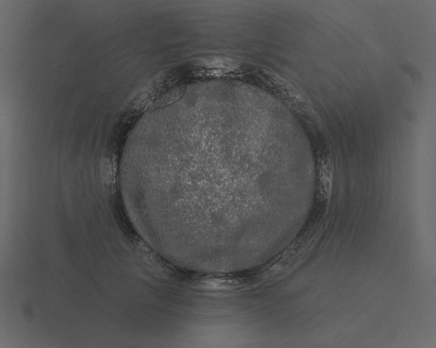 X0000116570657200912241635