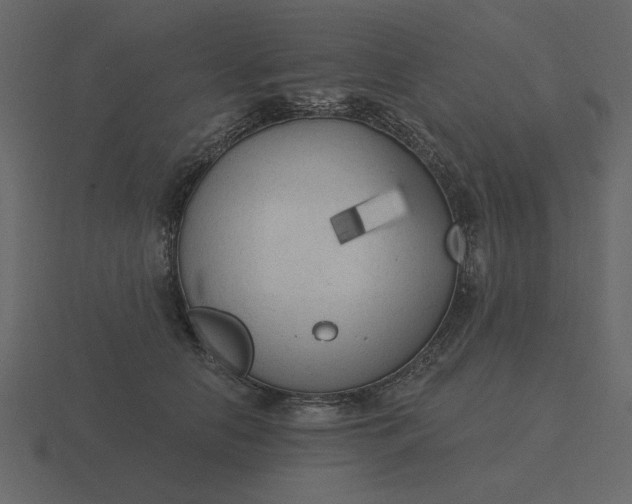 X0000116570658200912241635