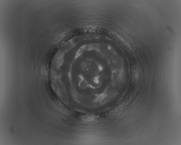 X0000116570661200912241635