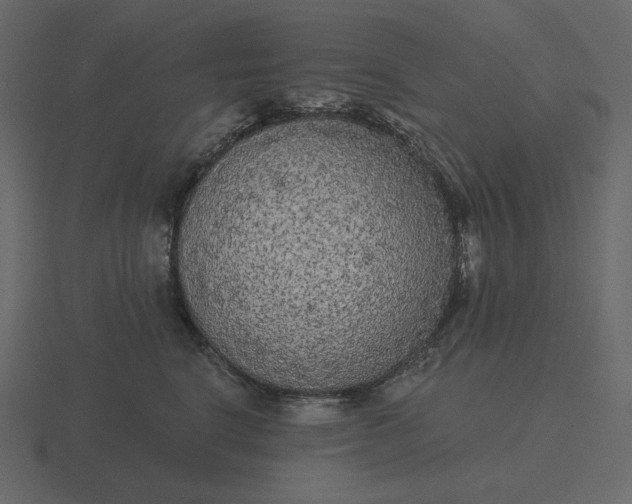 X0000116570664200912241635