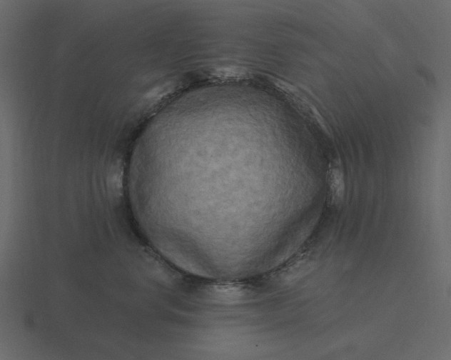 X0000116570668200912241636