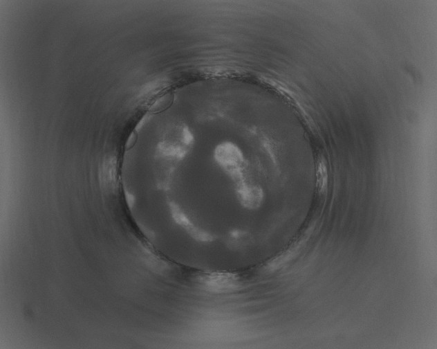 X0000116570670200912241636