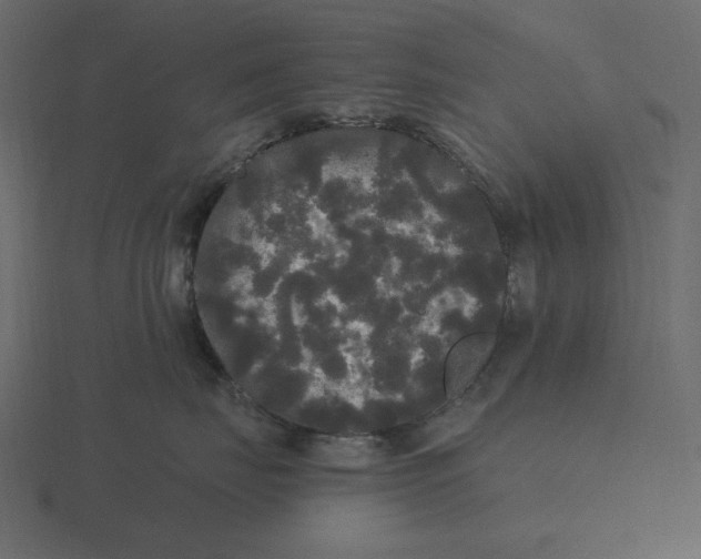 X0000116570671200912241636