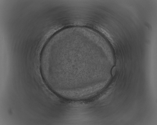 X0000116570673200912241635