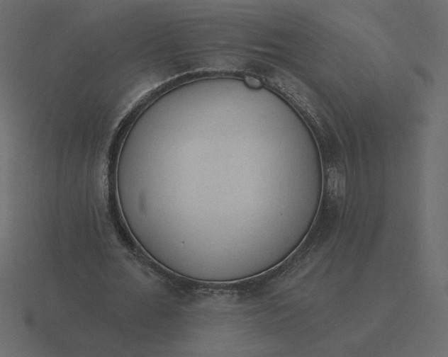 X0000116570676200912241635