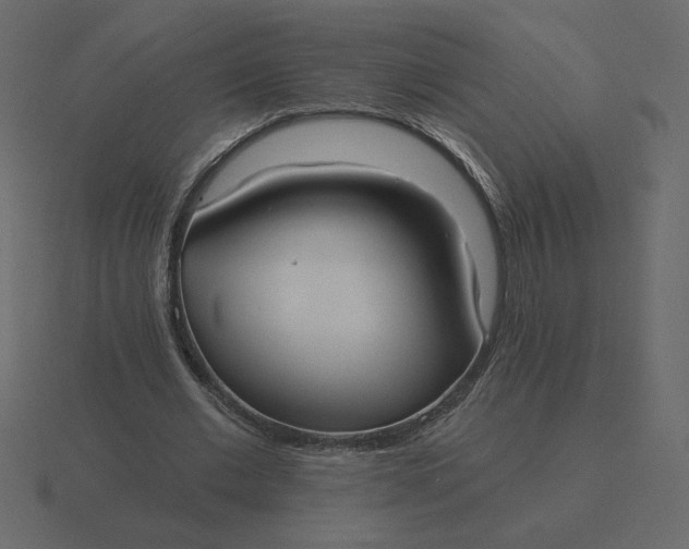 X0000116570677200912241635