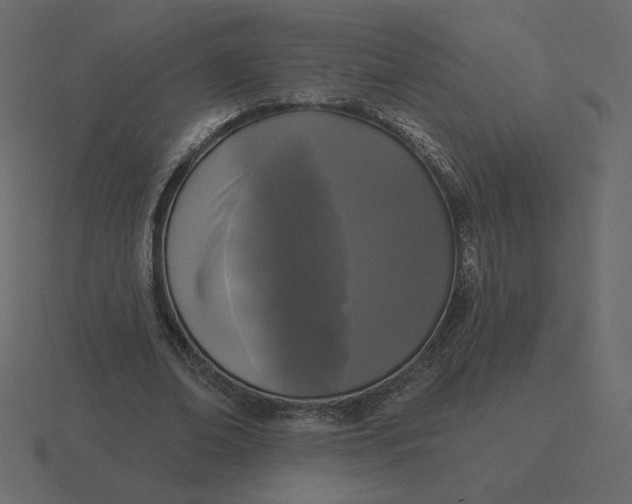 X0000116570678200912241635