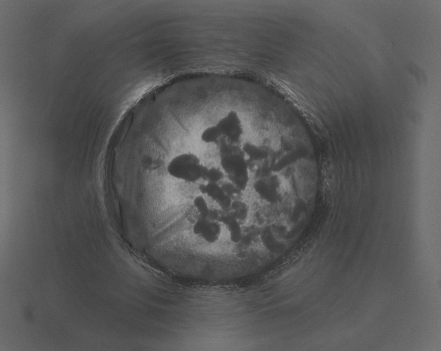 X0000116570679200912241635