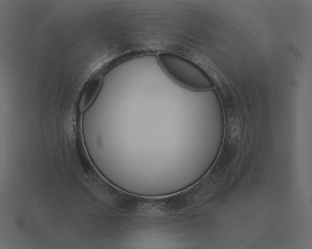 X0000116570680200912241635