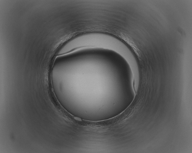 X0000116570681200912241635