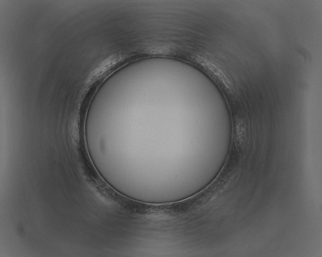 X0000116570682200912241635