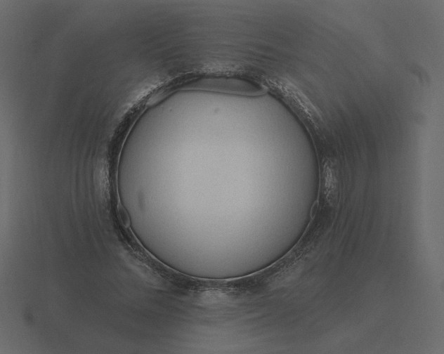 X0000116570684200912241635