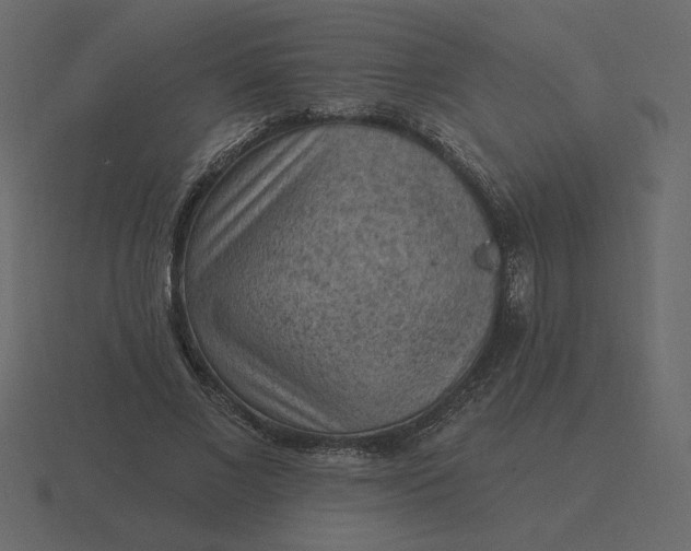 X0000116570685200912241635