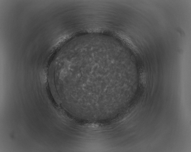 X0000116570687200912241635