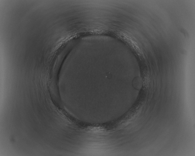 X0000116570689200912241635