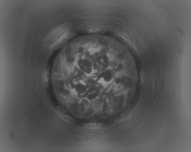 X0000116570691200912241635