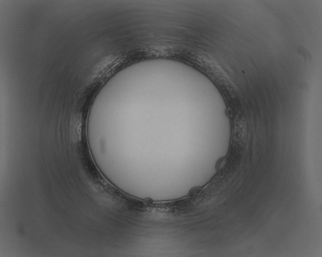 X0000116570694200912241635