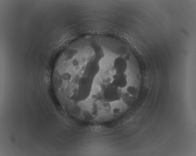 X0000116570695200912241635