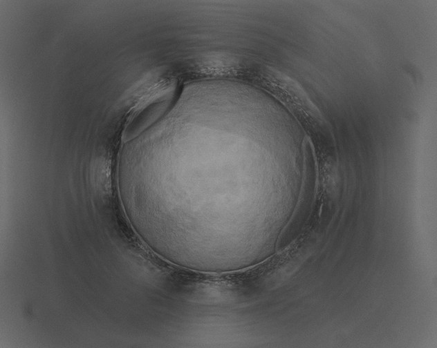 X0000116570696200912241635