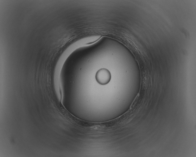 X0000116570700200912241635