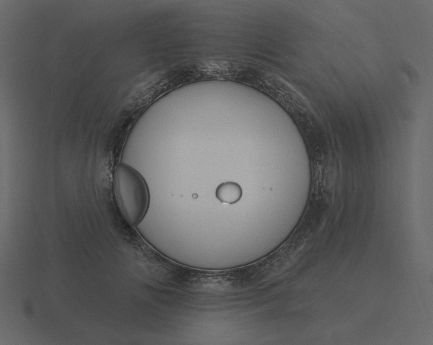 X0000116570702200912241635