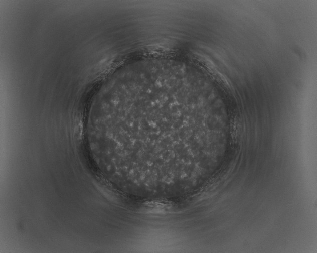 X0000116570703200912241635