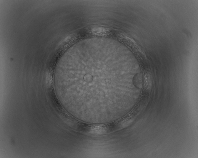 X0000116570705200912241635