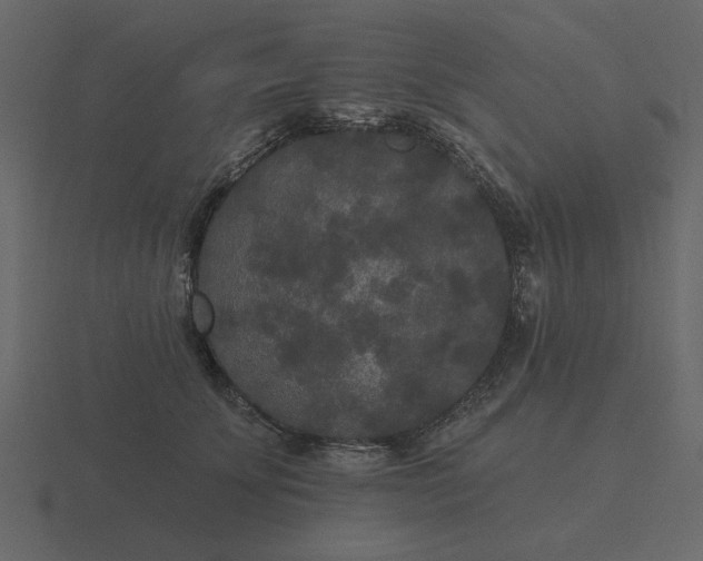 X0000116570707200912241635