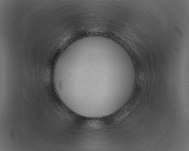 X0000116570708200912241635