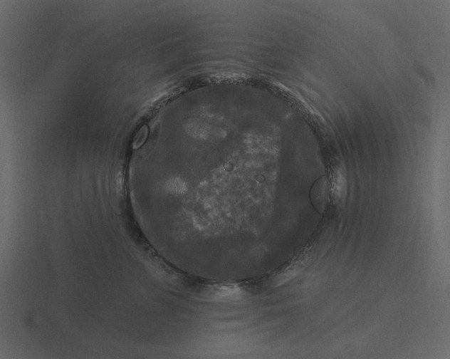 X0000116570715200912241634