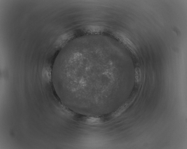 X0000116570718200912241634